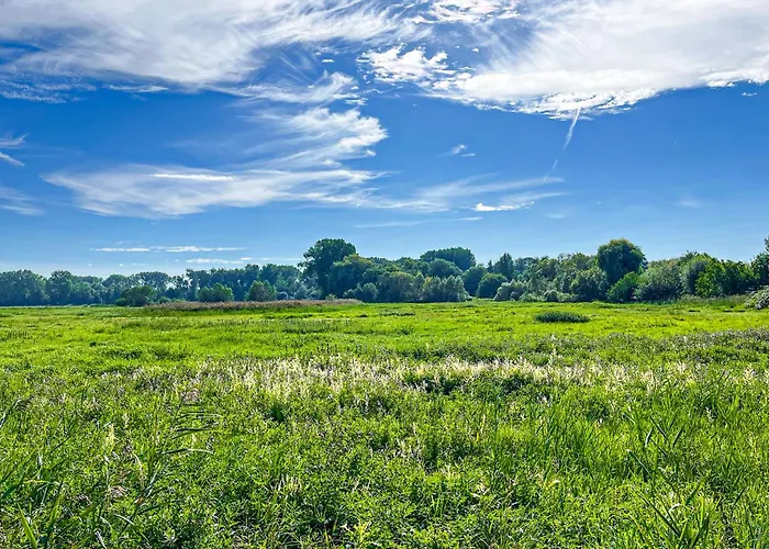 Appartamento Haffblick 50 *